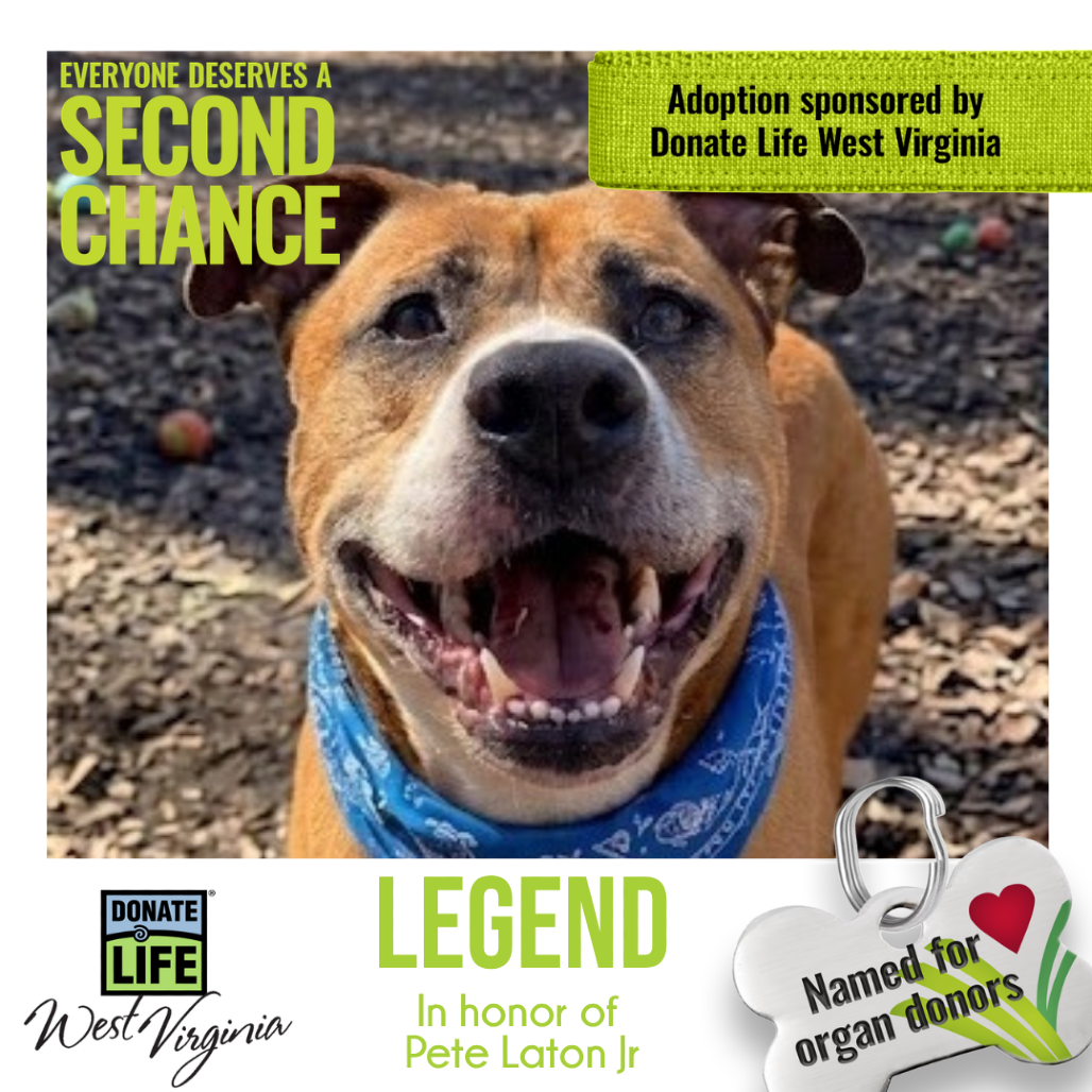 Legend fka Gingerbread 