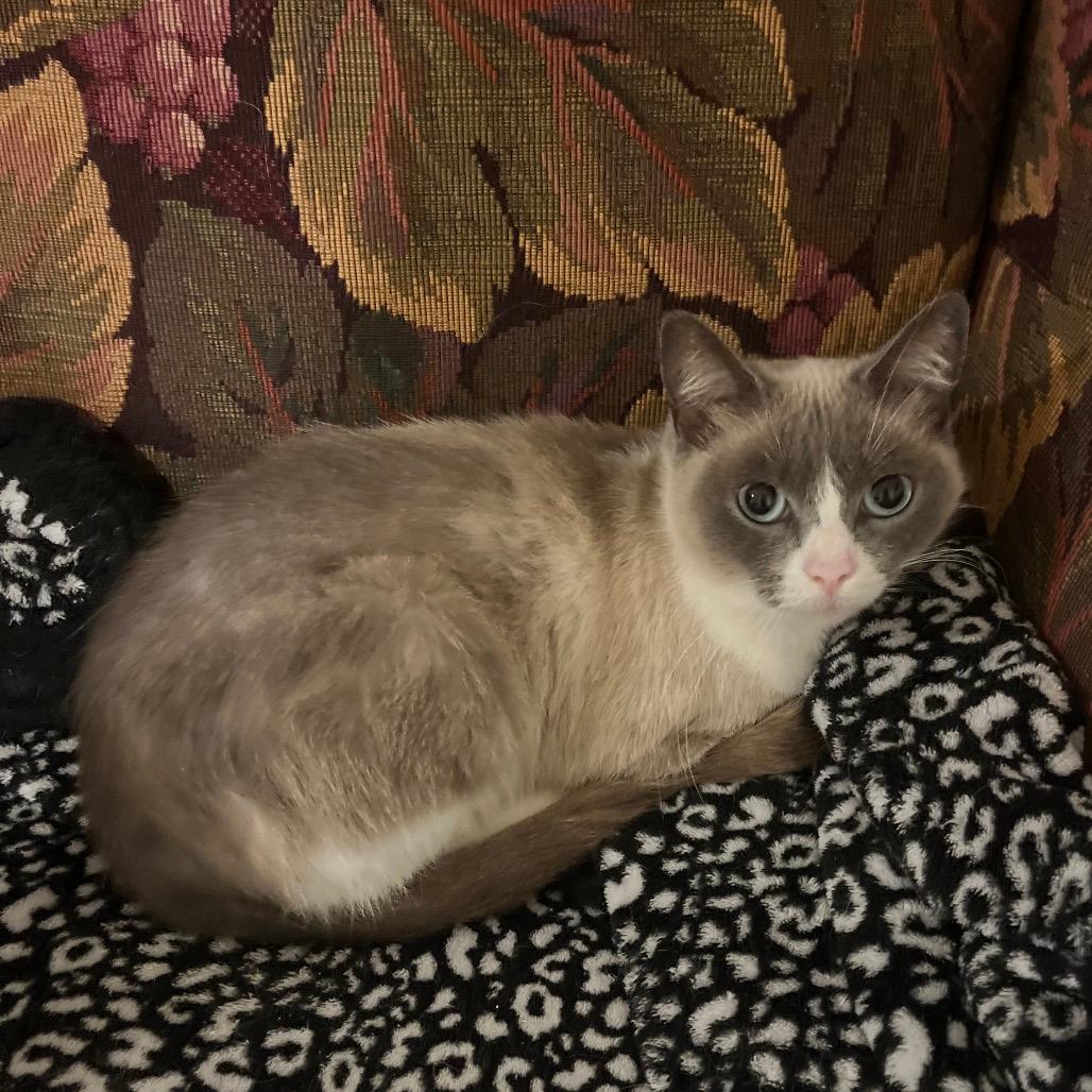 Pretty Girl