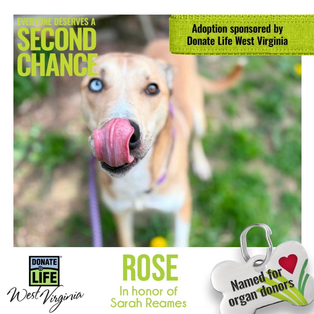 Rose aka Maggie
