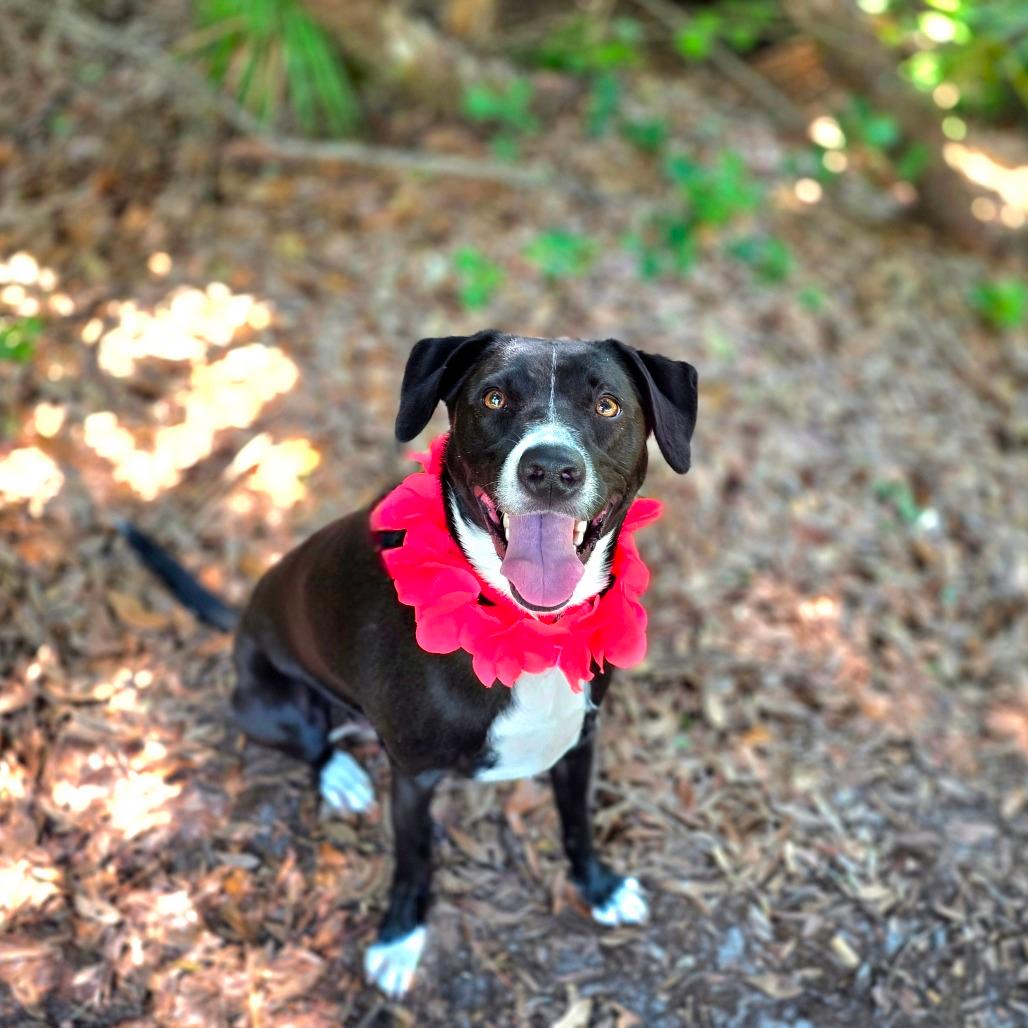 Minnie