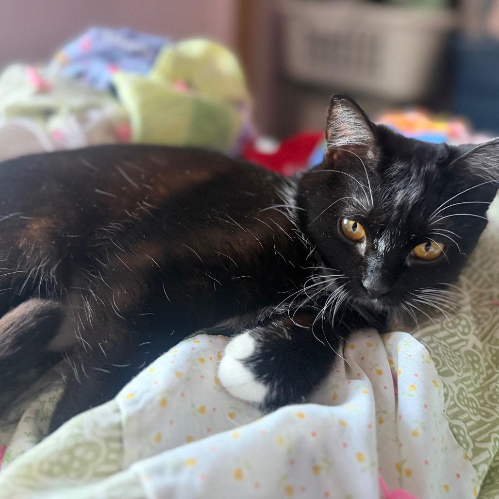 Audrey