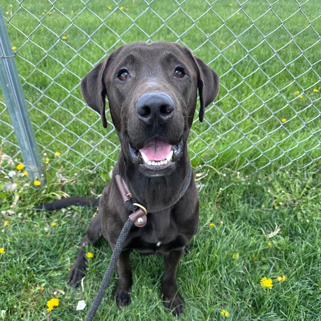 Max 