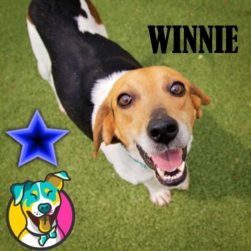 Winnie