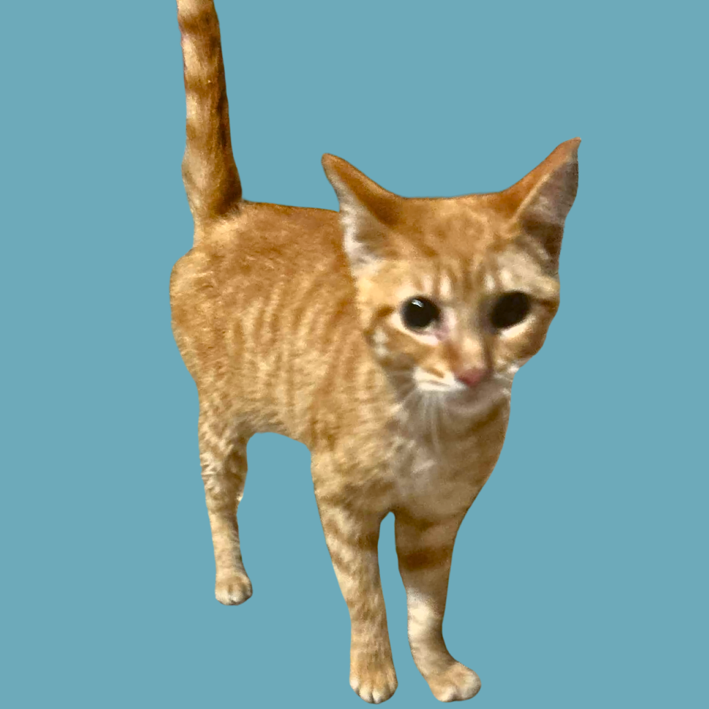 Frank Sinatra