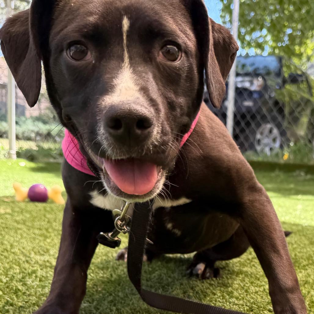 Delilah