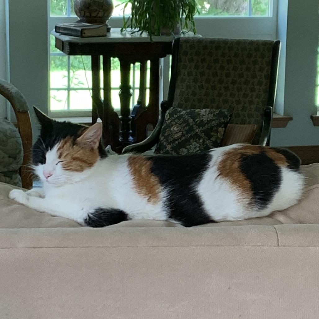 Mama