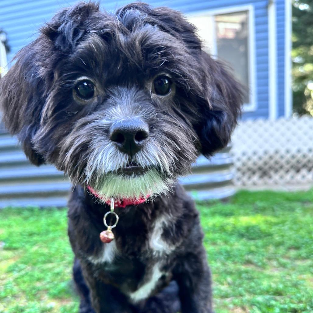 BeefJerky 