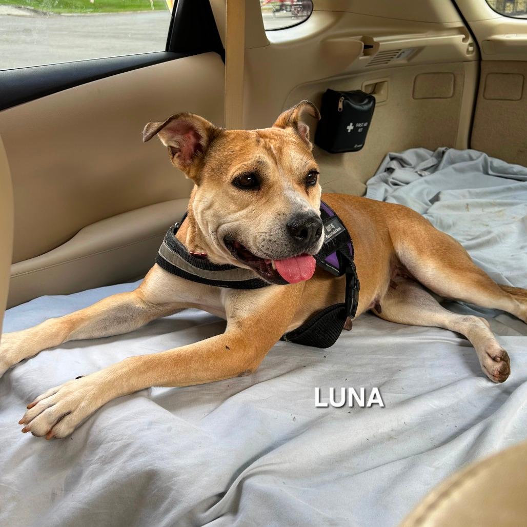 Luna