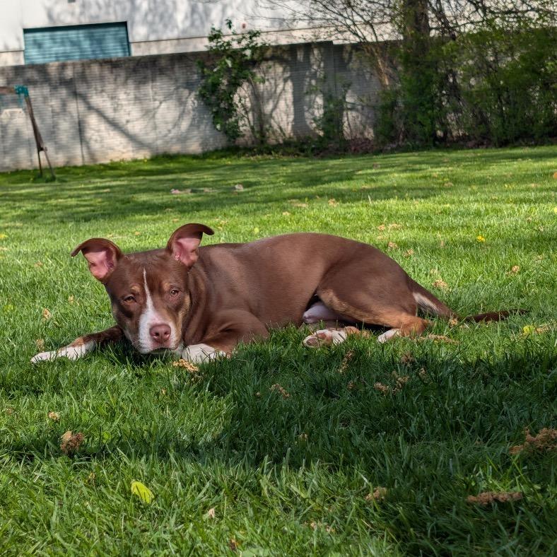 Gus