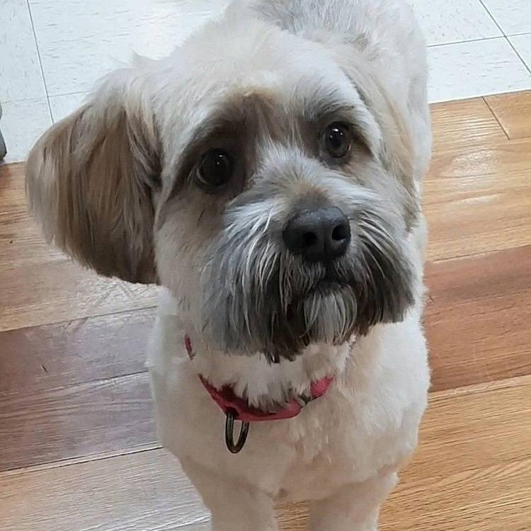 Miss Coco