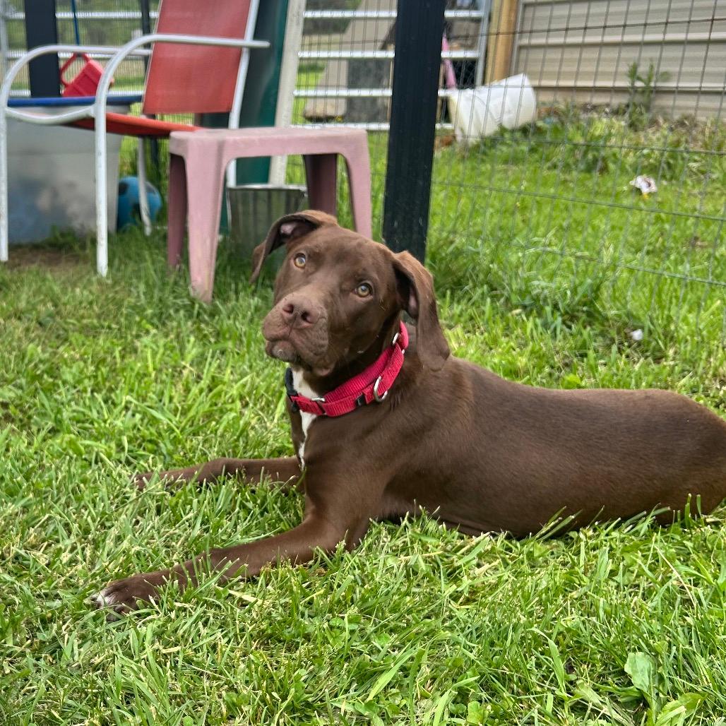 Marcie