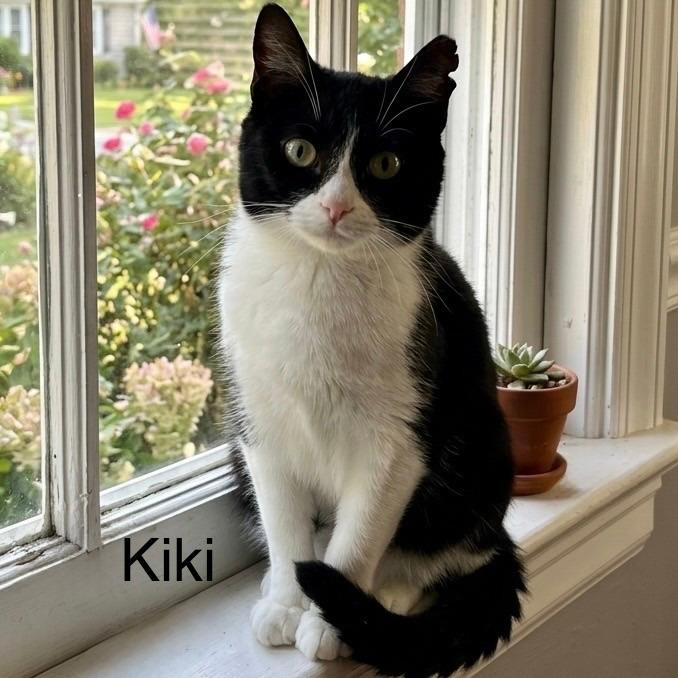 Kiki