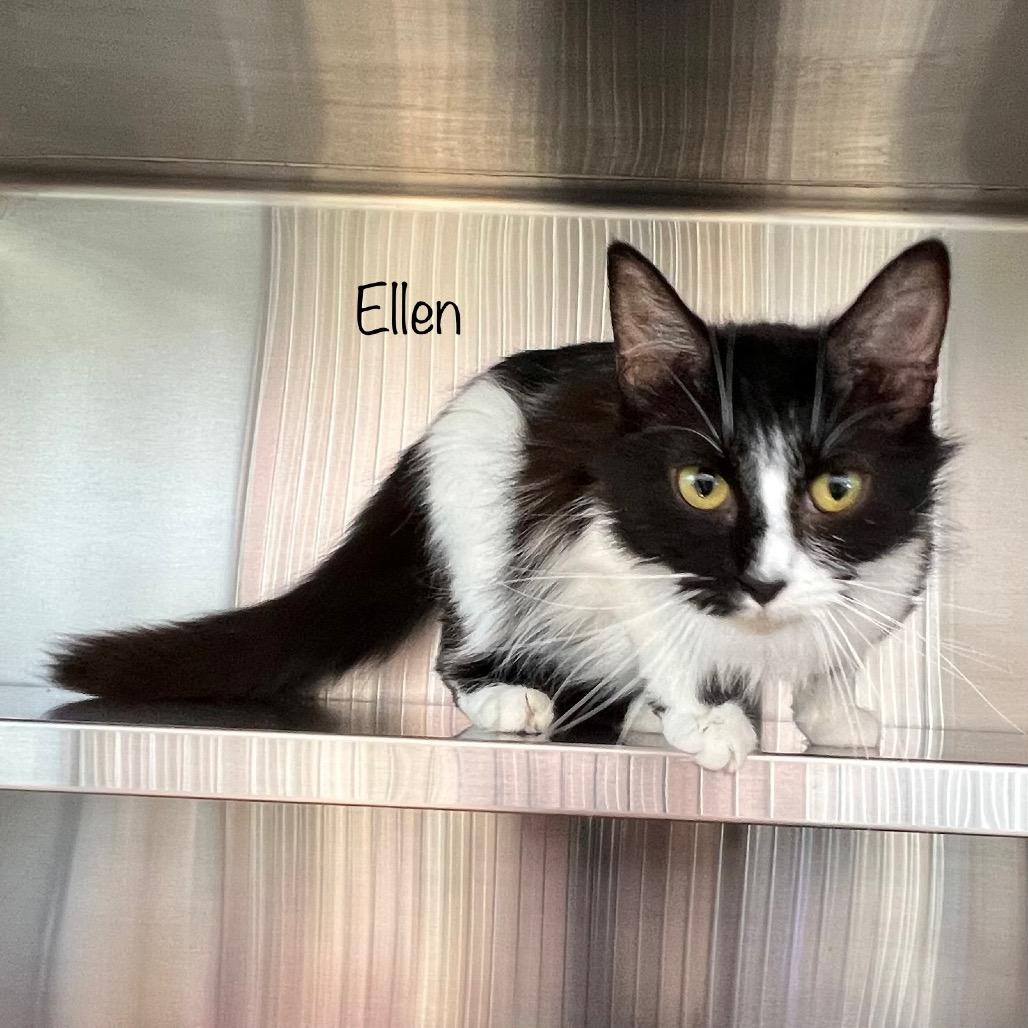Ellen