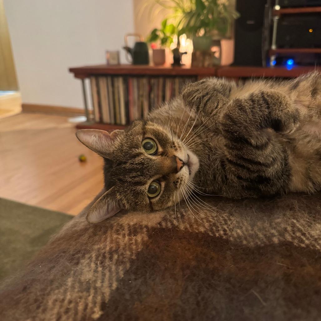 Venus