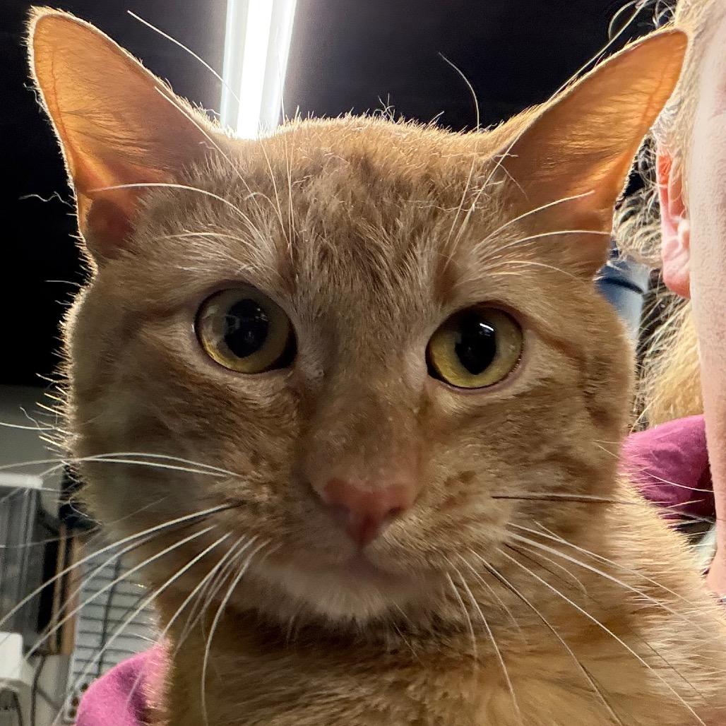 Milo
