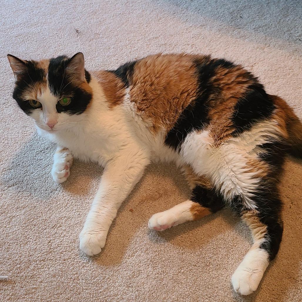 Lucy