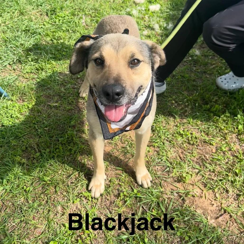 Blackjack