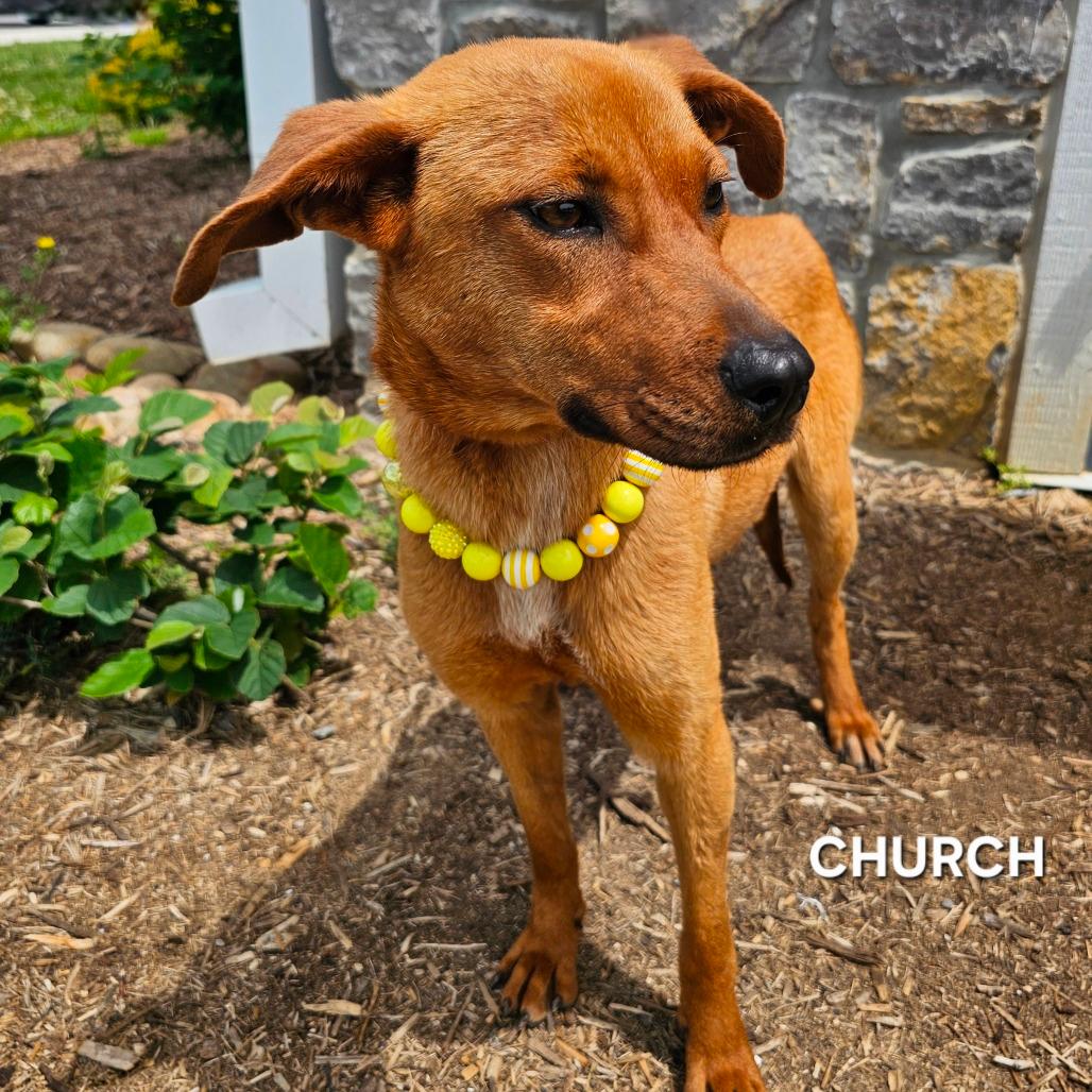 Church