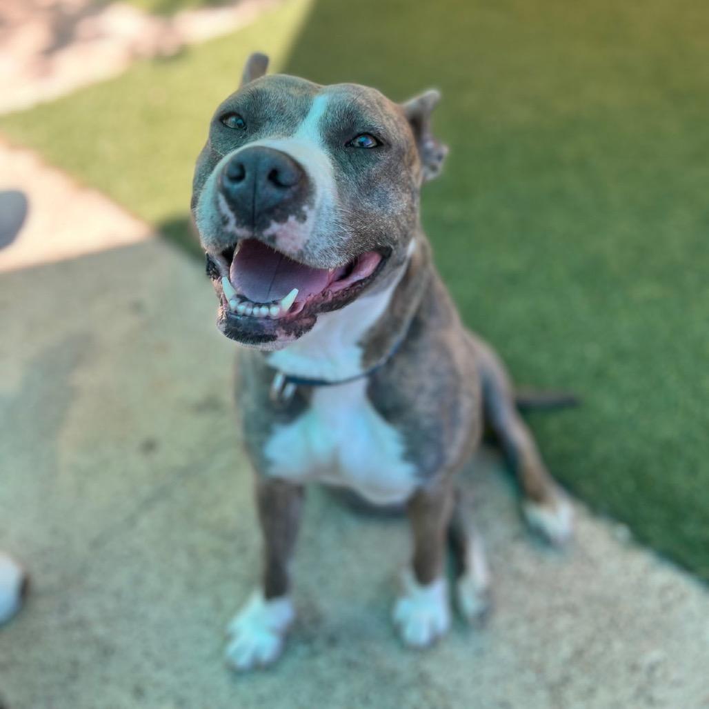 Zoey