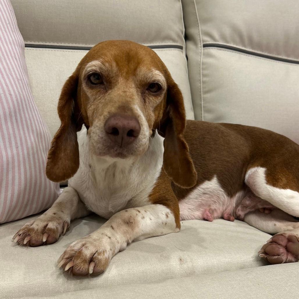 Penny 
