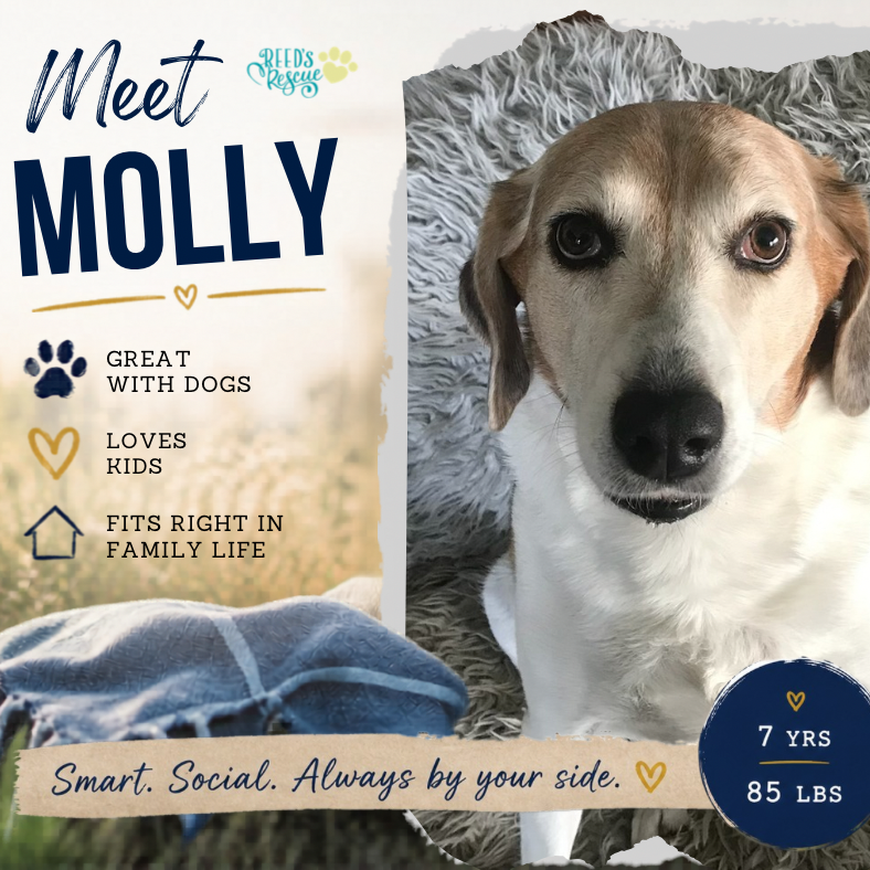 Molly