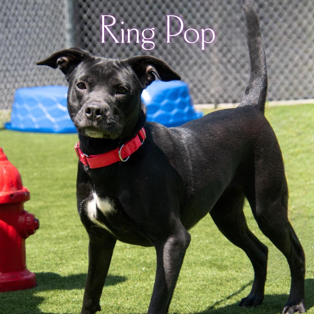 Ring Pop