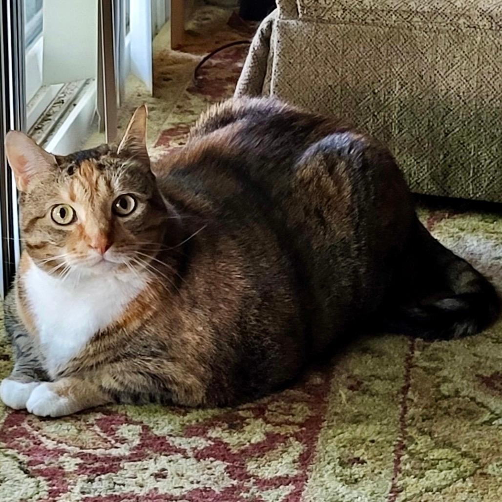 Matilda