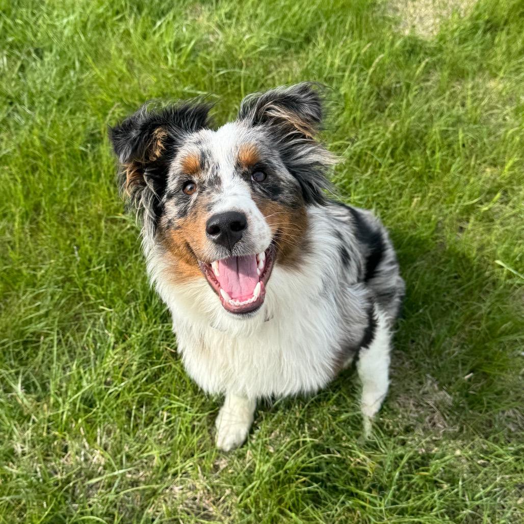 Remi