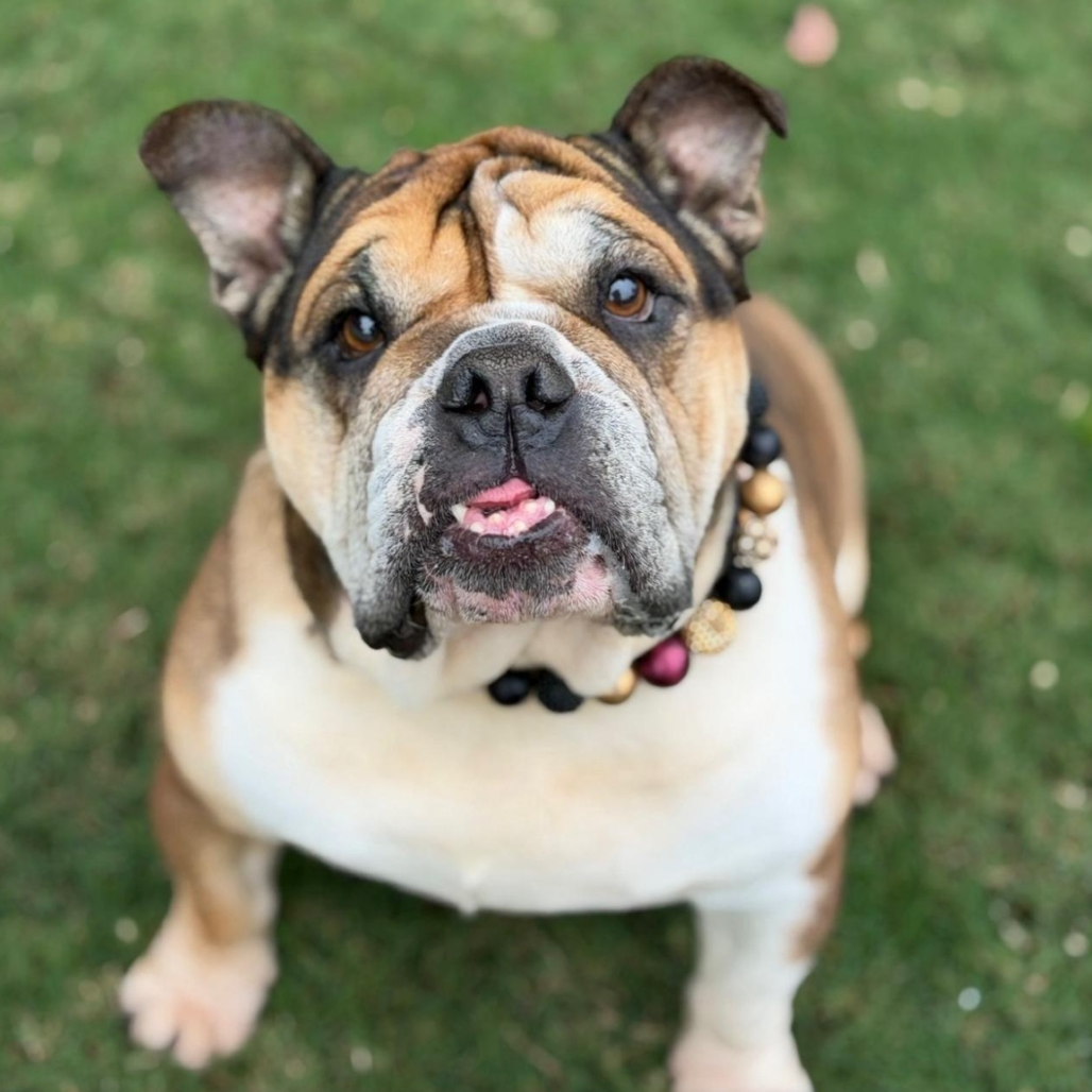 Espi