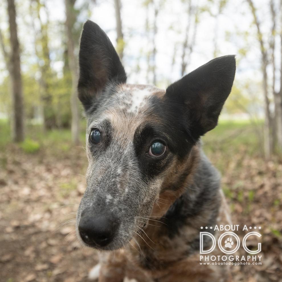 Duke
