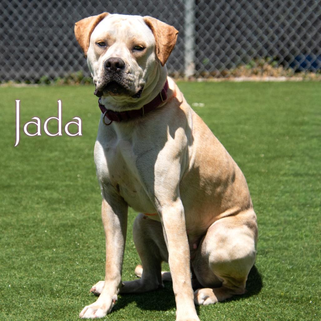 Jada