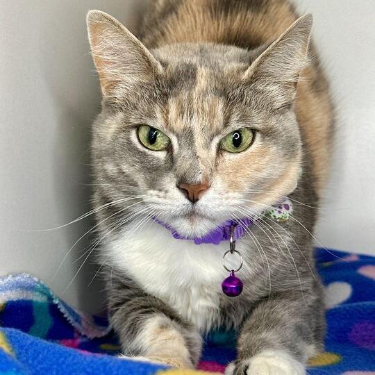 Molly