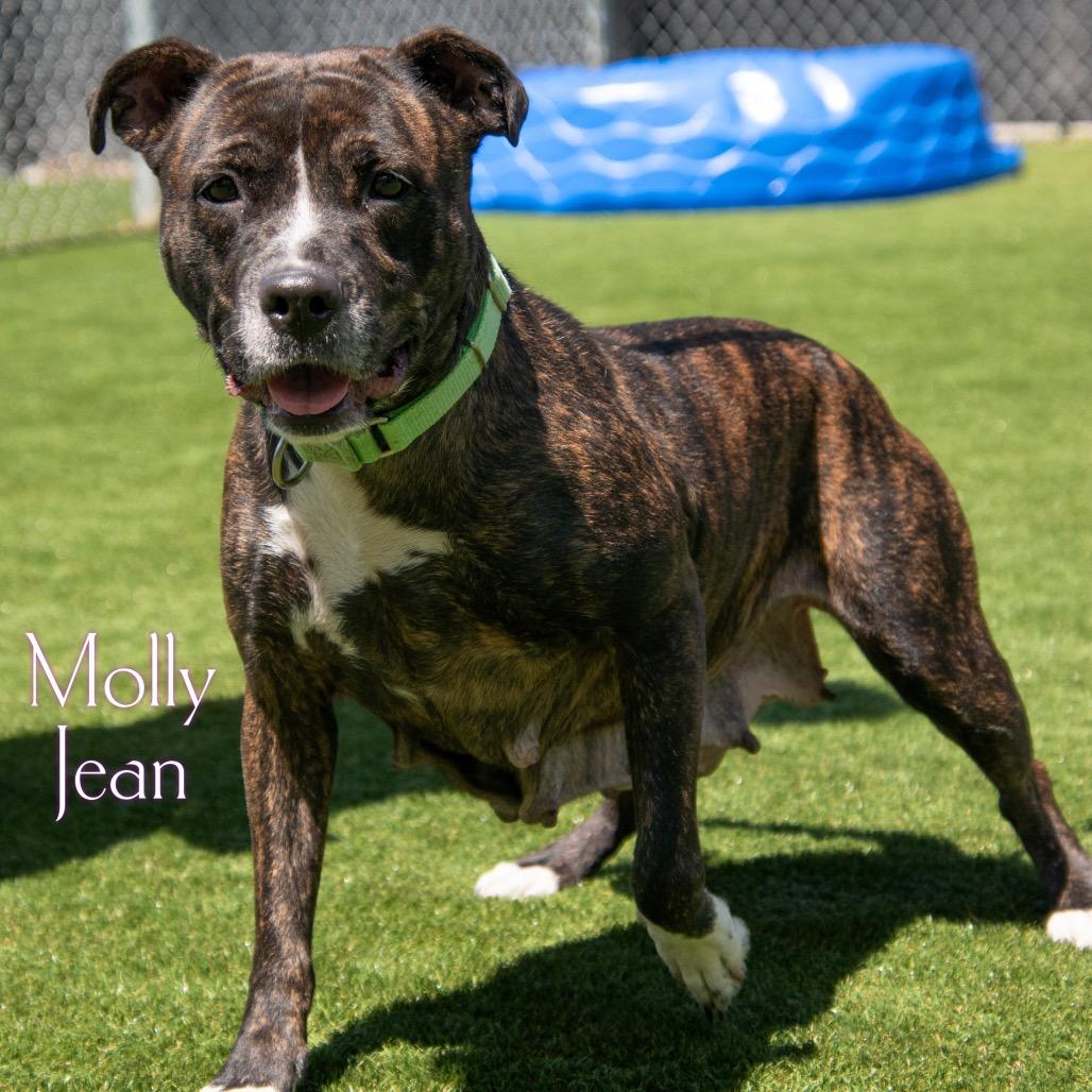Molly Jean