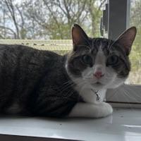 Dexter