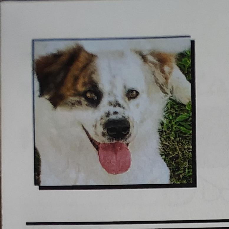 Jax