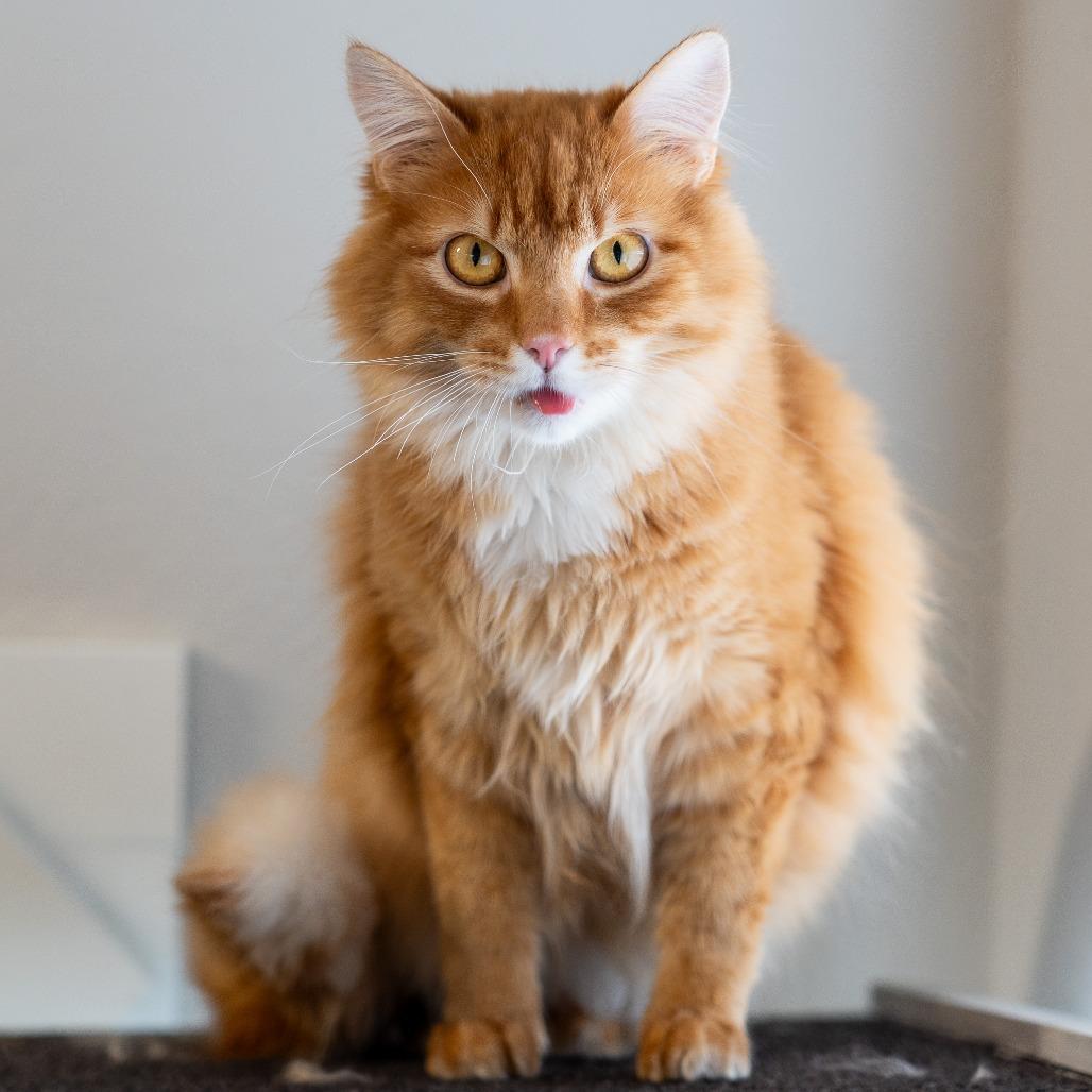 Rusty