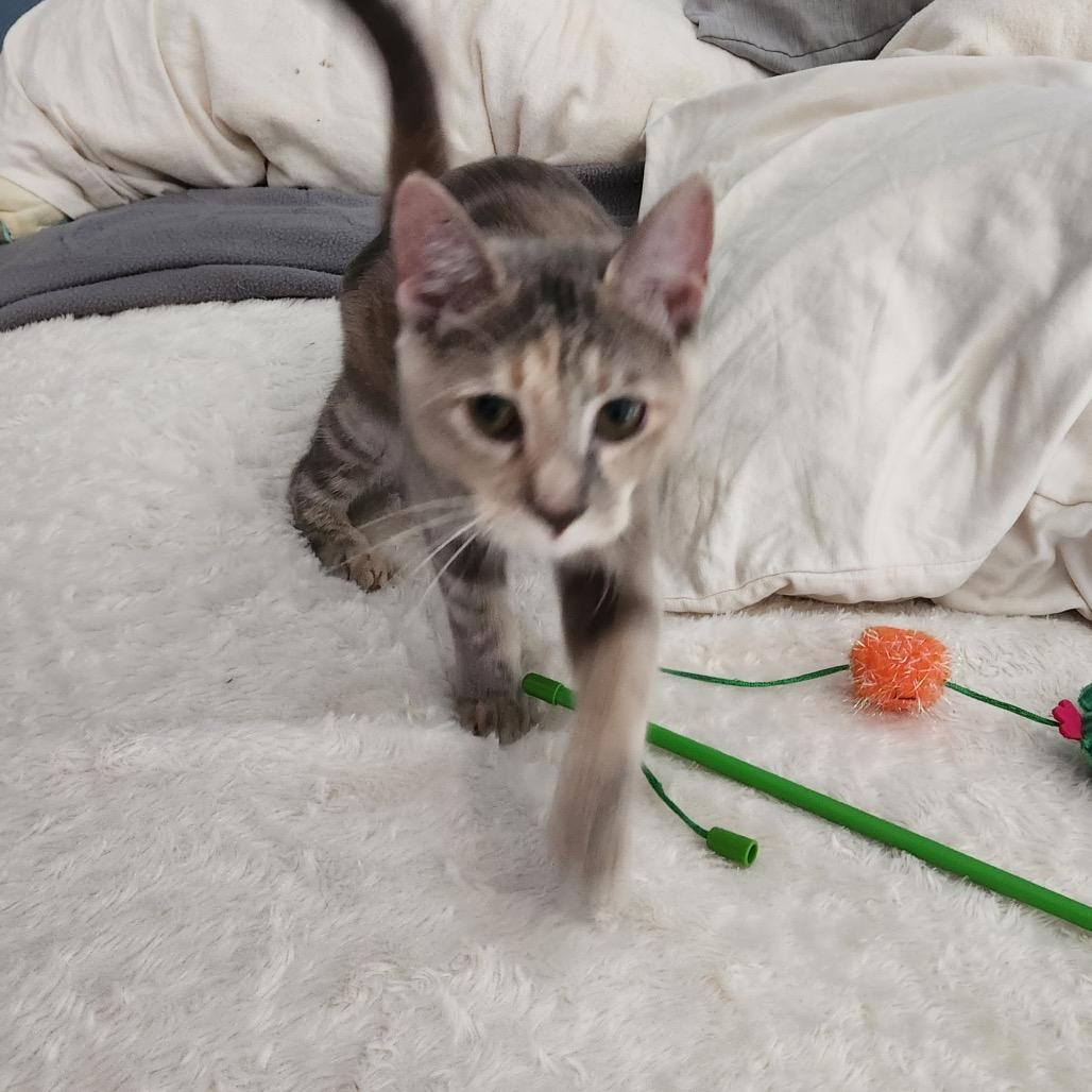 Thelma