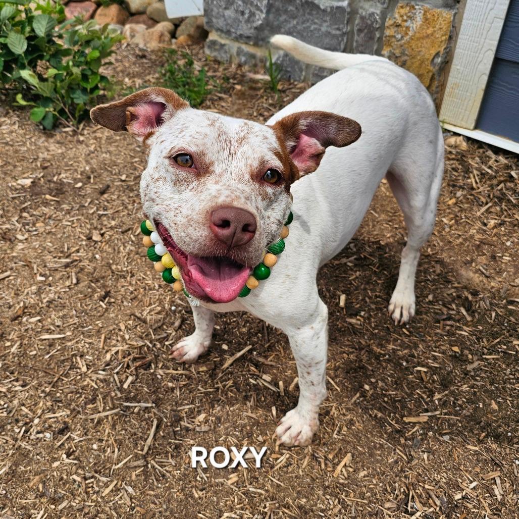 Roxy