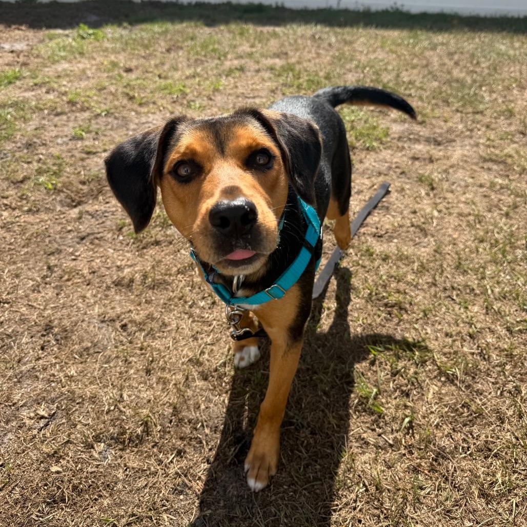 Roscoe