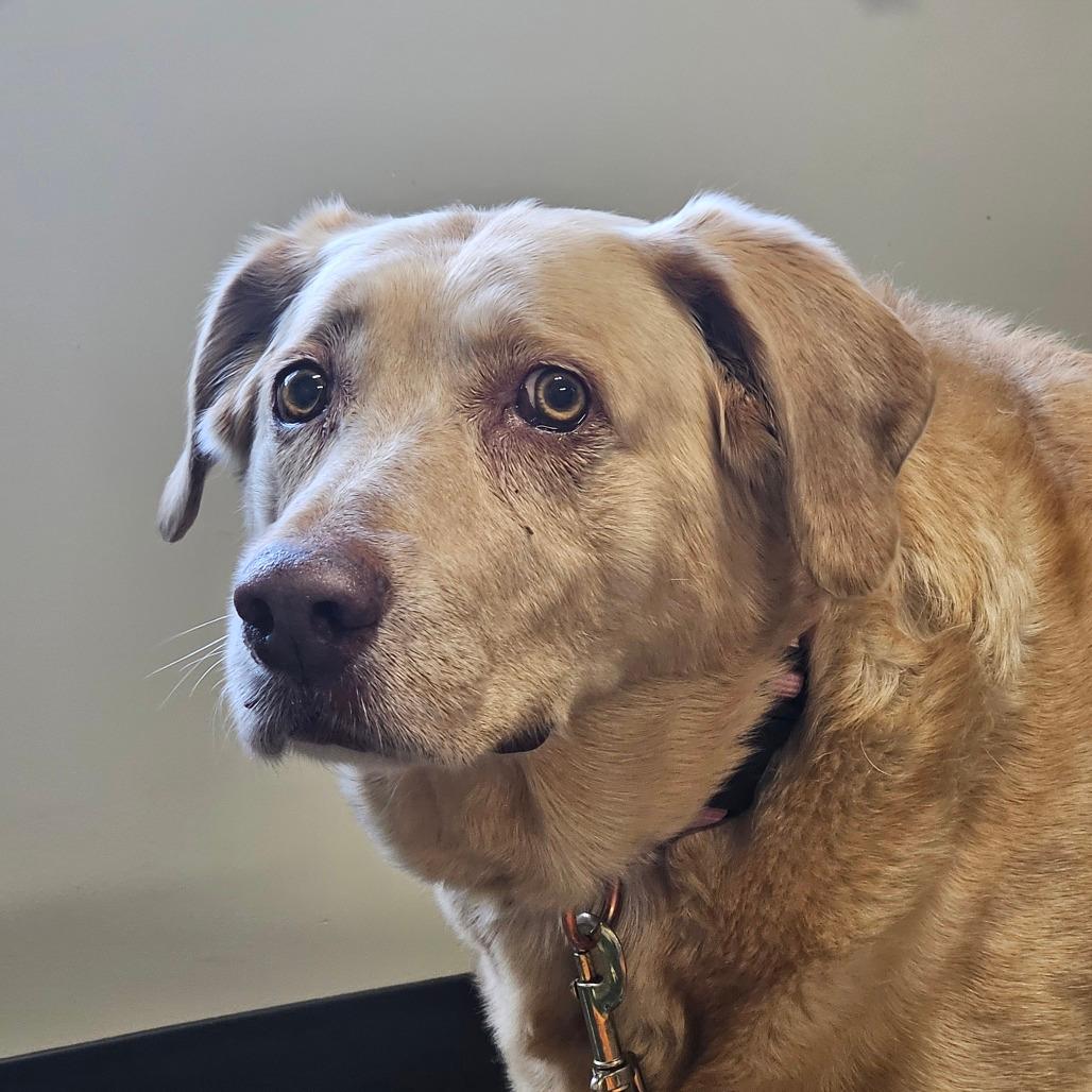 SAFE-KEEPING Albi