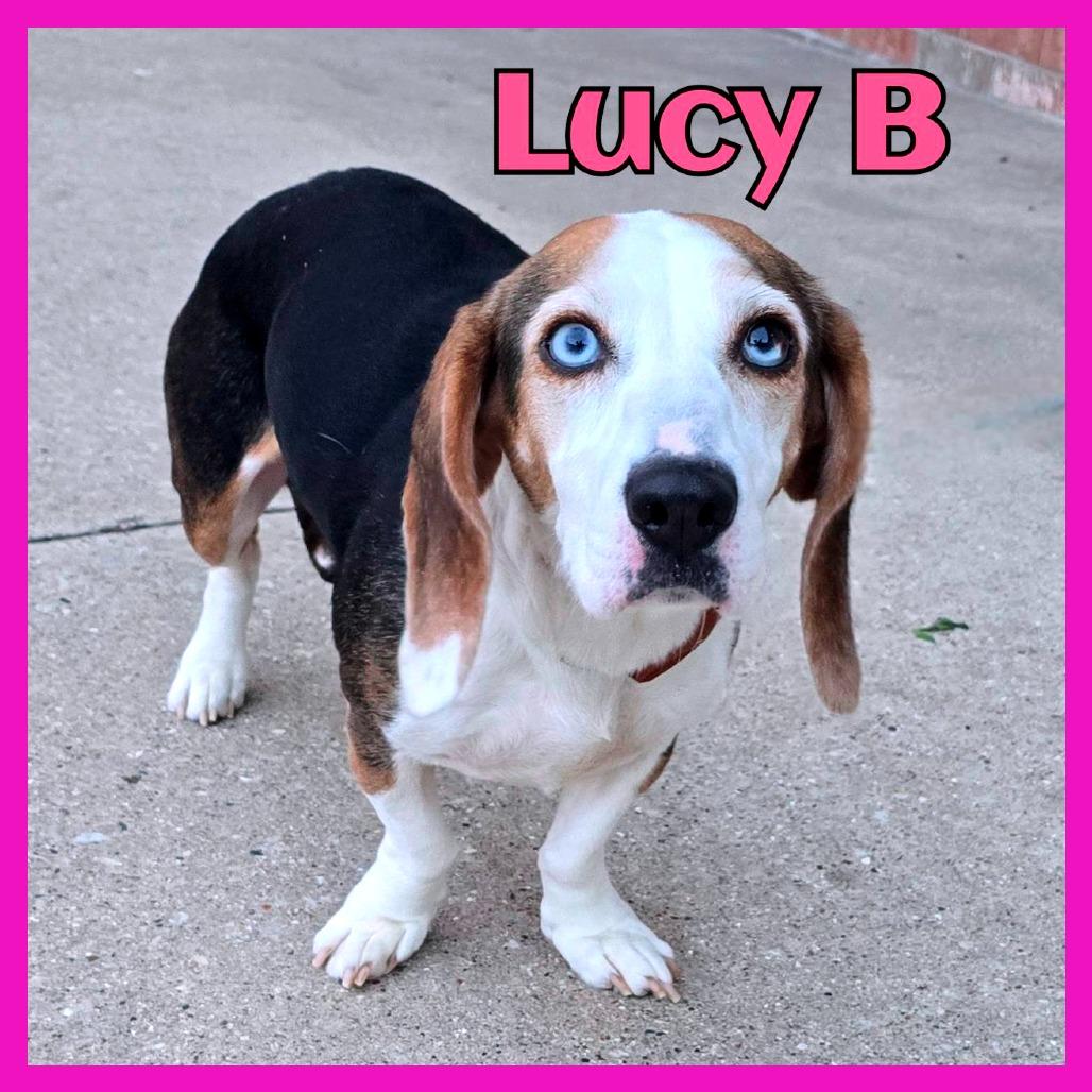 Lucy B