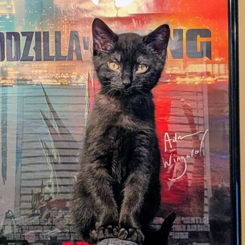 Pixel