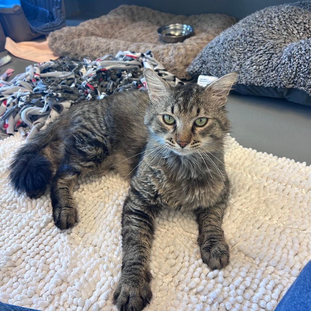 Tom