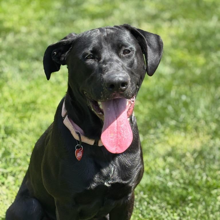 Odin