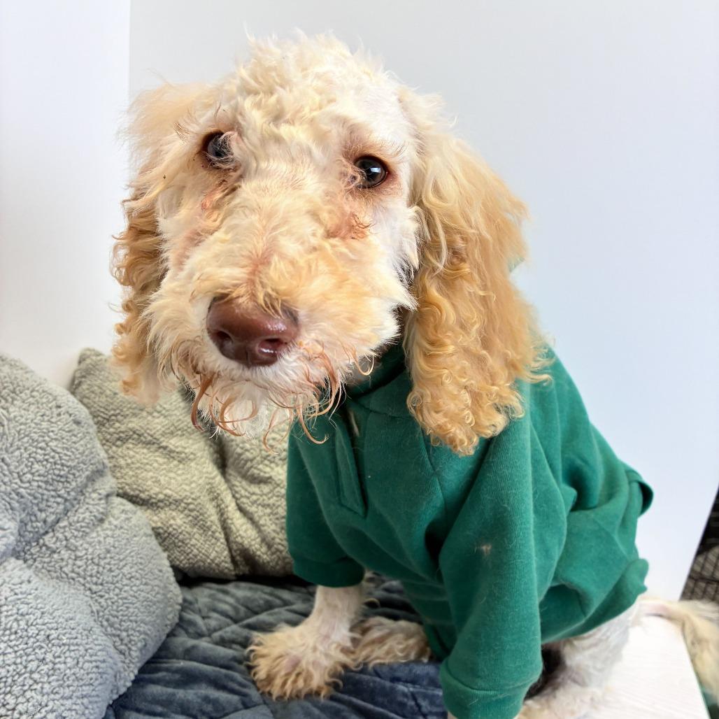 Milo