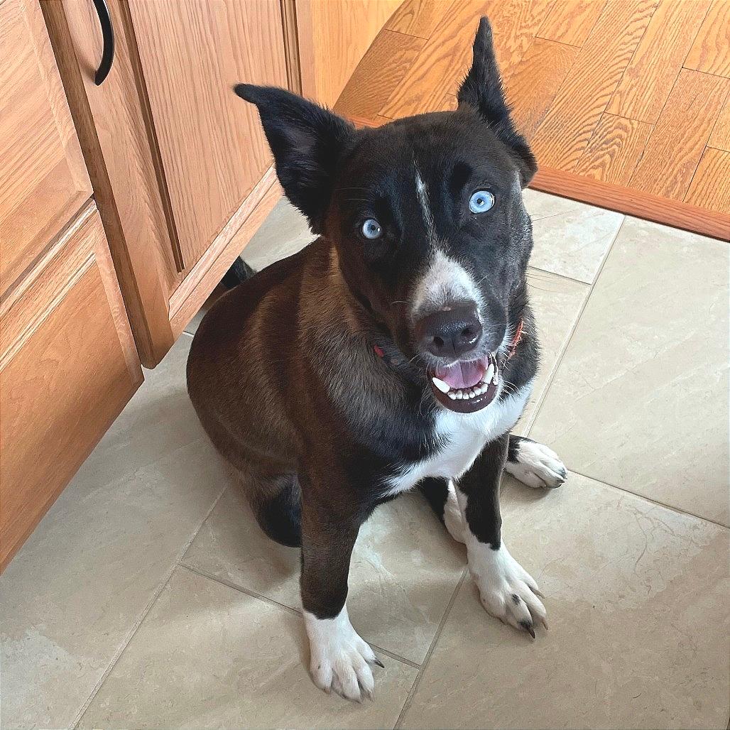 Beba-In foster-50% off