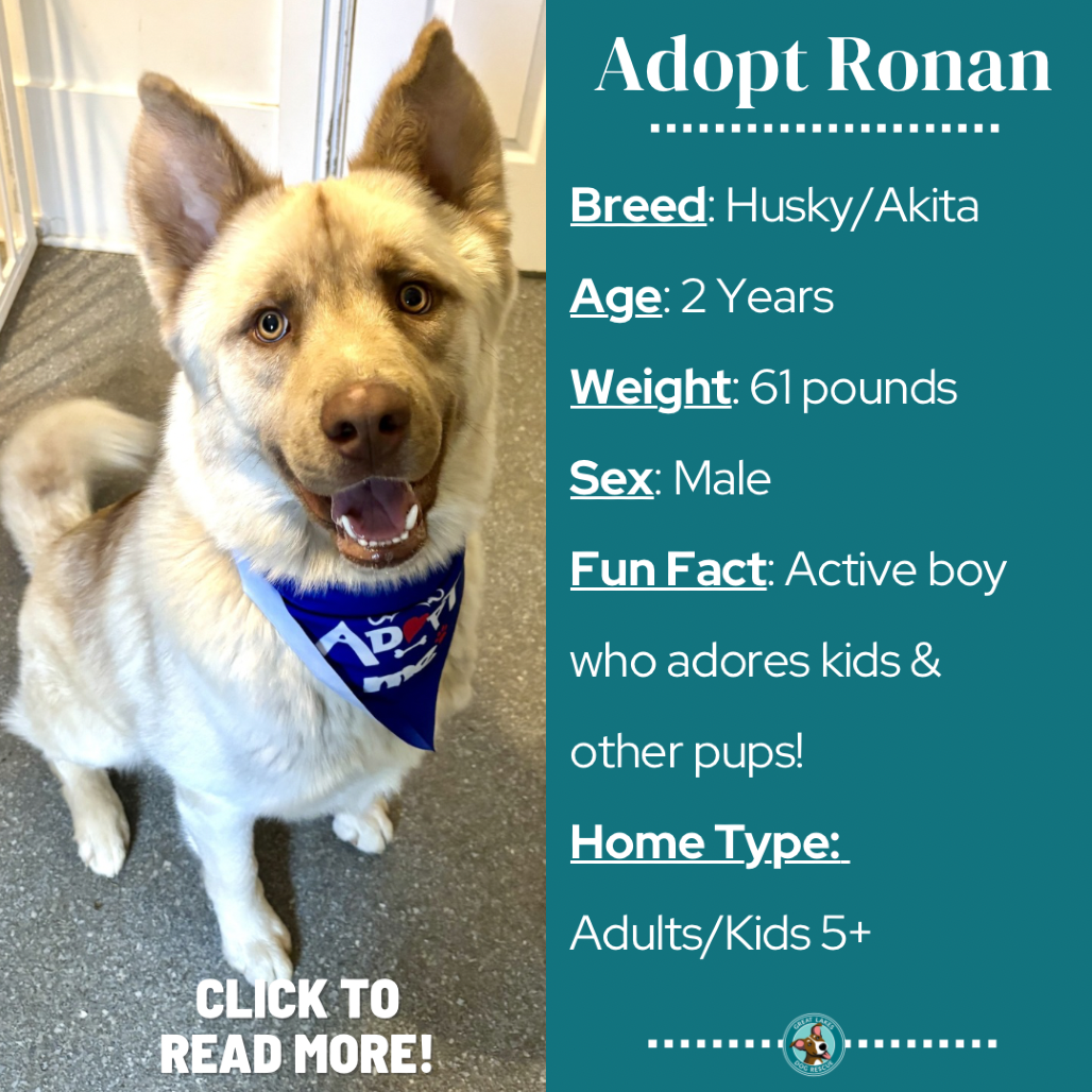 Ronan
