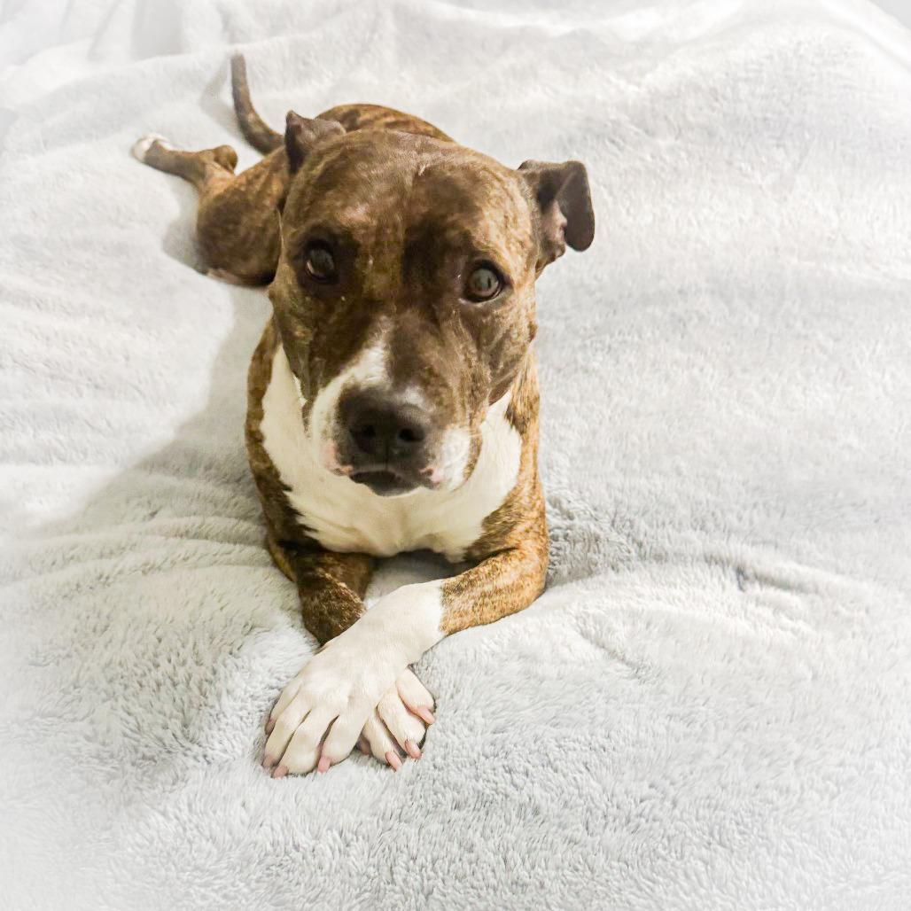 Princess Freya-IN FOSTER