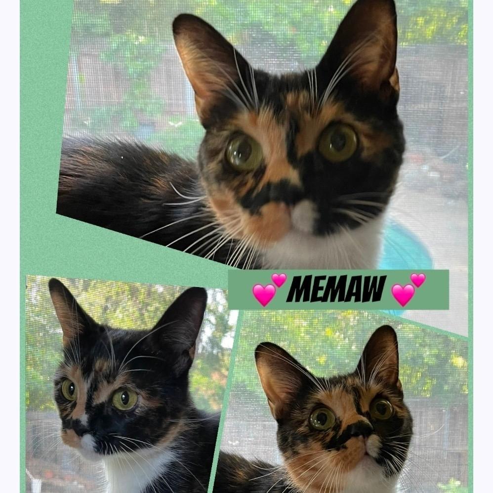 MeMaw