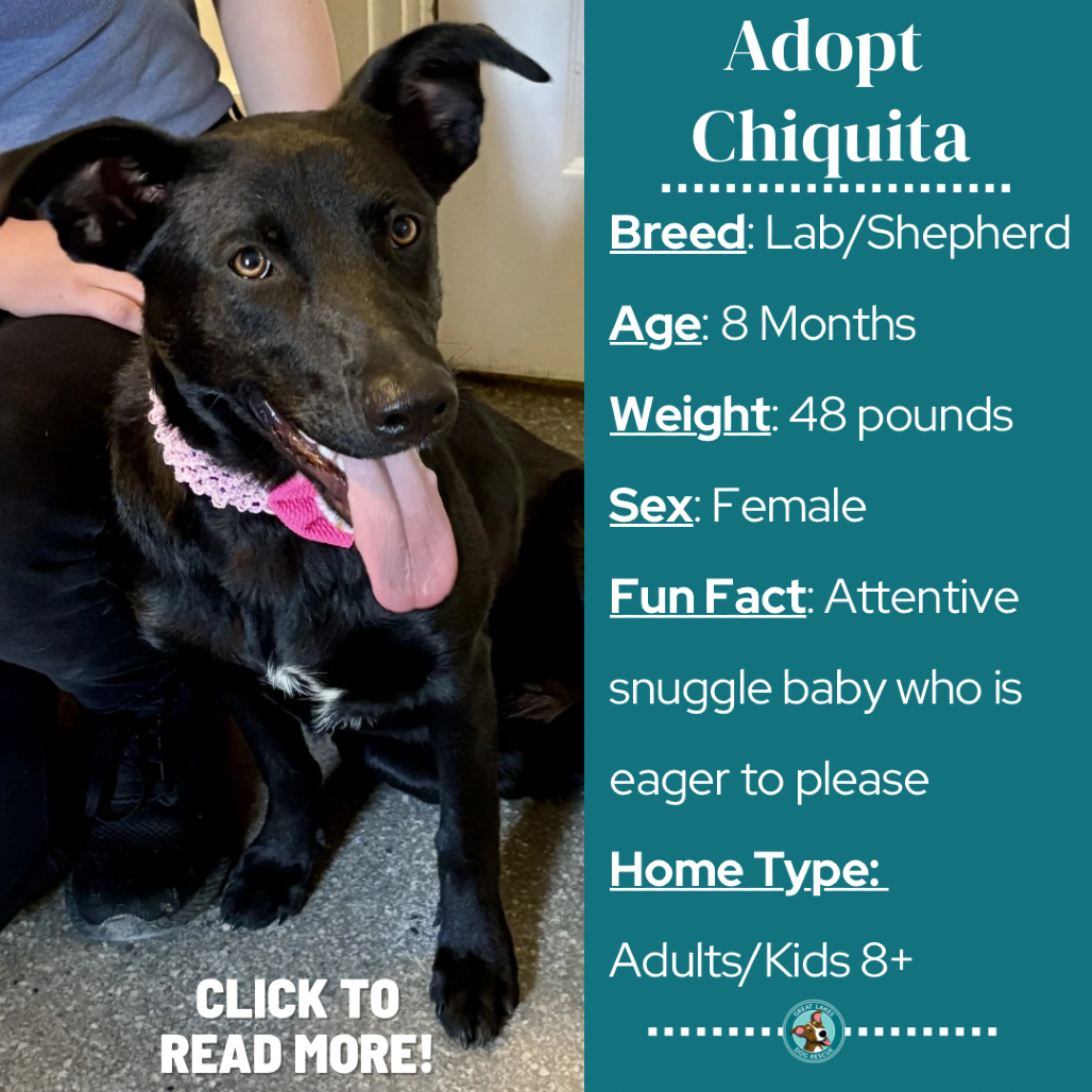 Chiquita